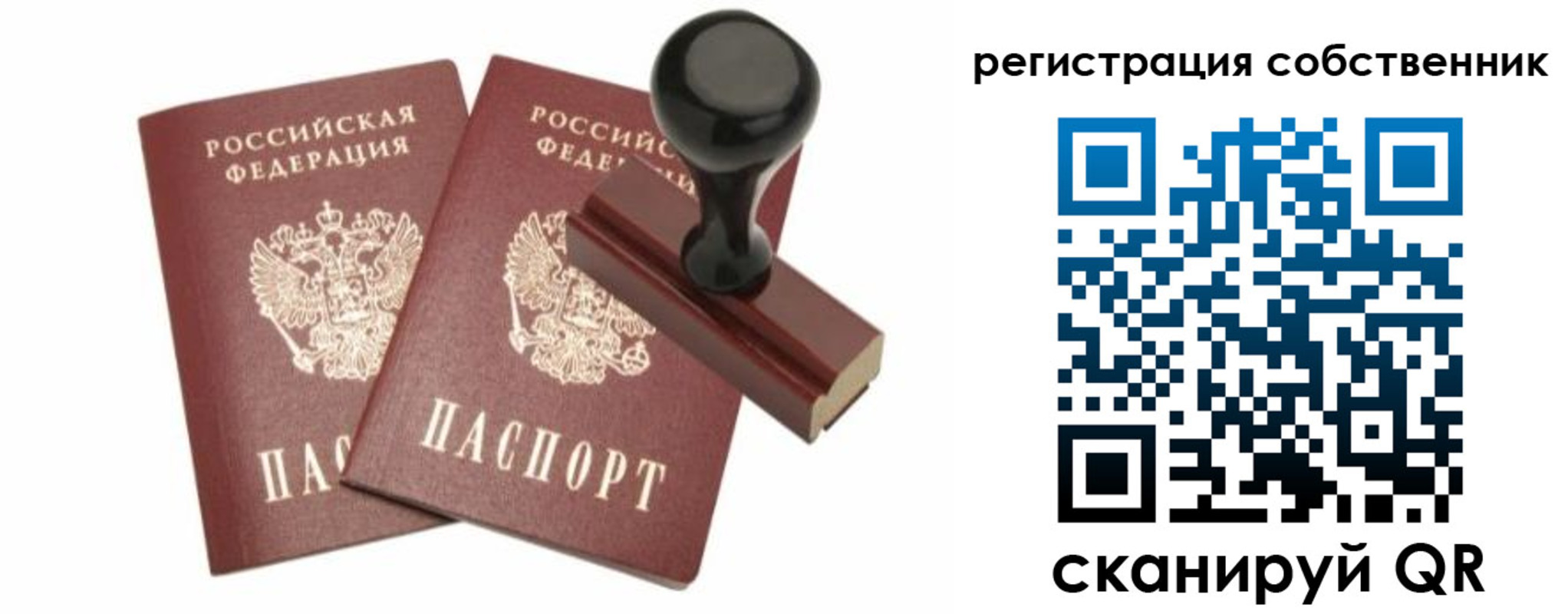 прописка паспорт в Владимире